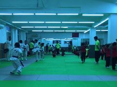 -武术世家少儿培训中心(首都体育学院店)