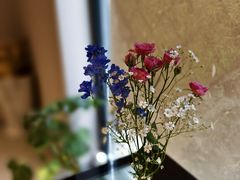 -Punchline Coffee&Roaster(同济大学店)