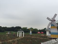 -松山湖梦幻百花洲