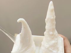 -野人先生现做冰淇淋(北京环宇荟店)