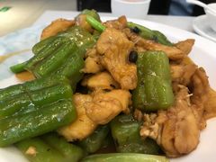 -港升鱼师傅·中山脆肉鲩