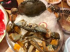 -尚海豆捞(乐虹坊店)