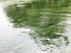 -杭州双溪漂流景区