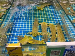 -三亚火车头万人海鲜广场