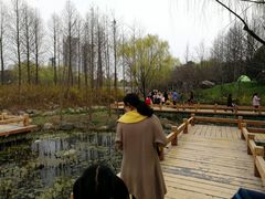 -尚贤河湿地