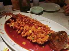 松鼠桂鱼-乾园(天河城店)
