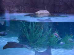 -沈阳海洋探索中心