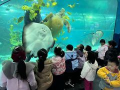-苏州海洋馆
