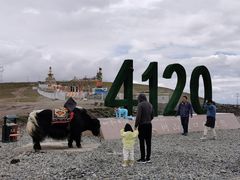 -大冬树山垭口