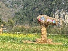 -靖西鹅泉风景区