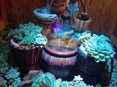 -有一锅·黑山羊腊排骨土鸡火锅(古城四方街店)