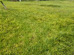 -桤木河湿地公园