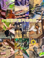 -酷嗒动物文化乐园(cutezoo西溪乐天城店)