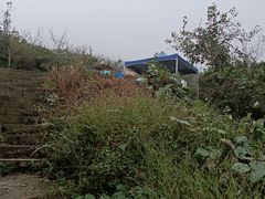 -北仑森林植物园