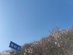 -秦岭风景区