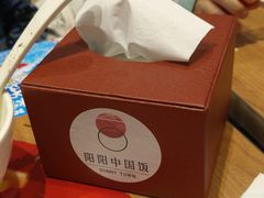 -阳阳中国饭(北京荟聚店)