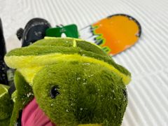 -绍兴启迪乔波冰雪世界