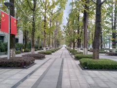 -百林公园-两江幸福广场