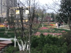 -江南大学(蠡湖校区)