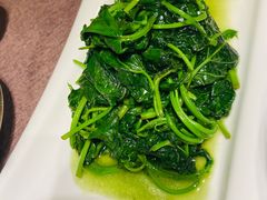 清炒地瓜叶-巨鹿春晓(静安寺店)