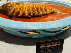 -阿五黄河大鲤鱼(纬三路店)