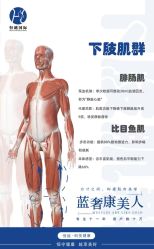 -星港国际·Skin皮肤专研·皮肤管理