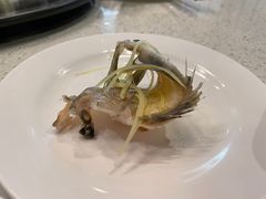 -青蓬蒸汽海鲜·深圳老字号·团建聚会(壹方城店)