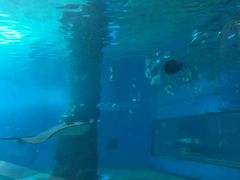 -北戴河圣蓝海洋公园