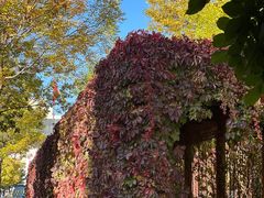 -中央戏剧学院(昌平校区)