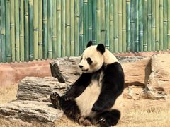 -济南野生动物世界