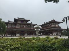iphone_upload_pic-西安乐游原