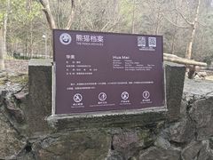 -都江堰中华大熊猫苑