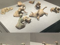 -徐州博物馆
