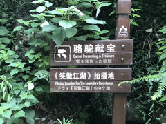 -天姥山