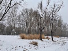 -野鸭湖国家湿地公园