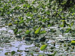 -莲池书院博物馆