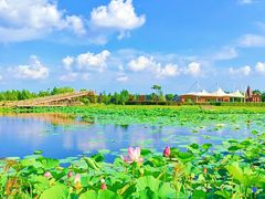 -黑龙江省森林植物园