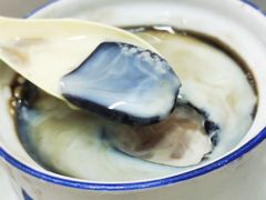 龟苓膏-達揚原味燉品(文明路店)