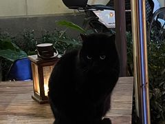 -SISTERS BAR RESTAURANT川意酒馆(嘉善老市H楼店)