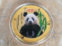 -中国大熊猫保护研究中心雅安碧峰峡基地