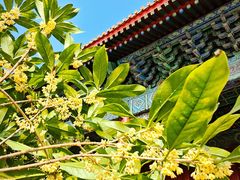 -北京市劳动人民文化宫(太庙)