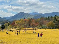 -塔川景区