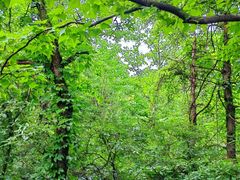 -宝岩生态观光园