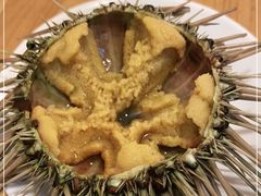 -海胆小馆(东北水饺·春柳店)