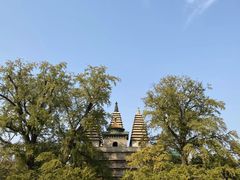 -北京石刻艺术博物馆(五塔寺)