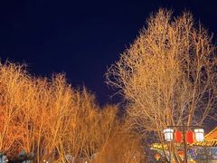 -青州古城