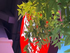 -金鼎轩(鸟巢北辰荟店)