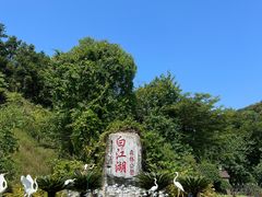 -广州白江湖森林公园