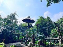 -广州长隆野生动物世界