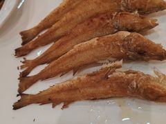 -益健美食大广场(北岭店)